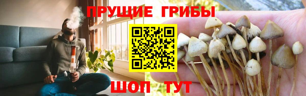 Галлюциногенные грибы Magic Shrooms Троицк